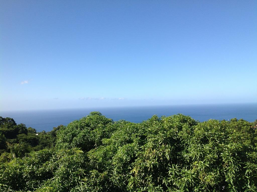 Villa Des Iles Basse-Terre Zewnętrze zdjęcie